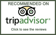 Tripadvisor